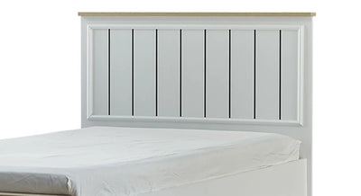 Diana 100’lük Başlık